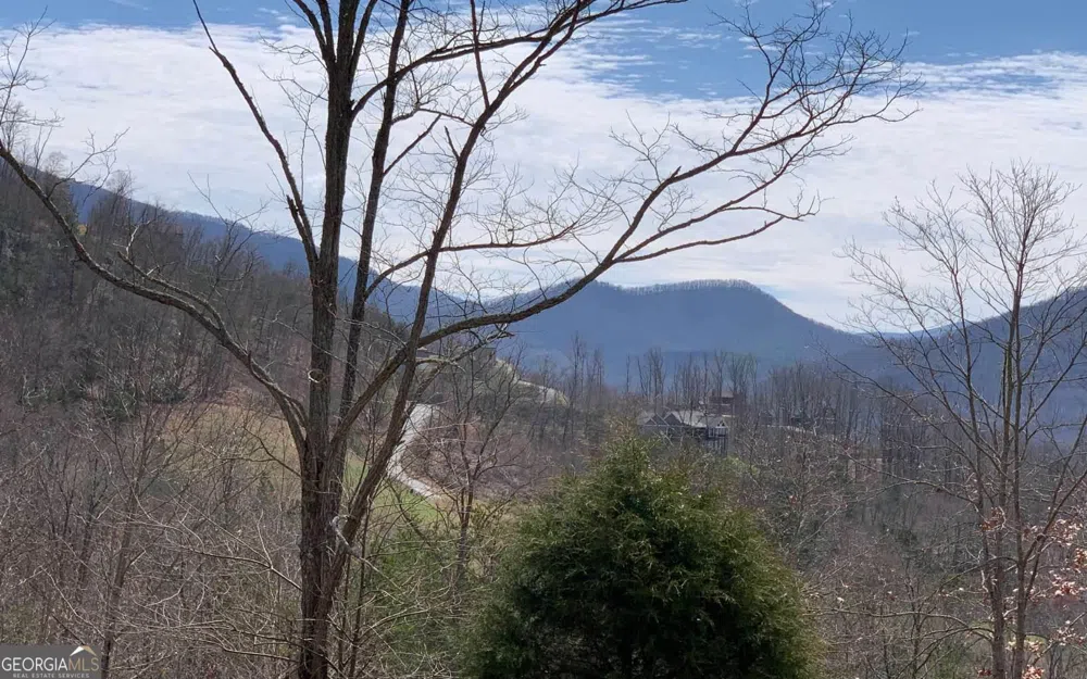 LOT 42 Dan Knob Hayesville, NC 28904
