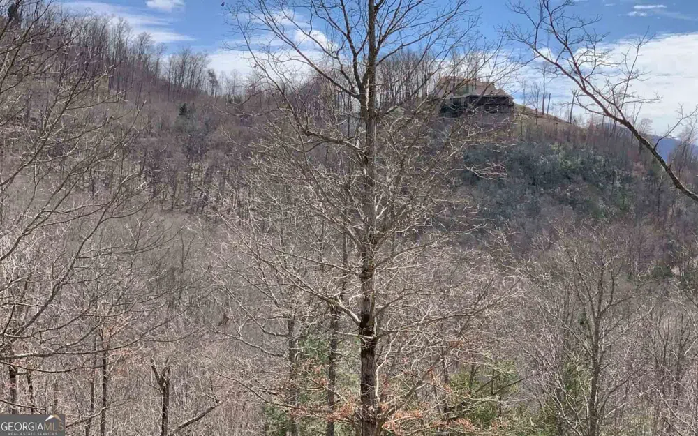 LOT 42 Dan Knob Hayesville, NC 28904