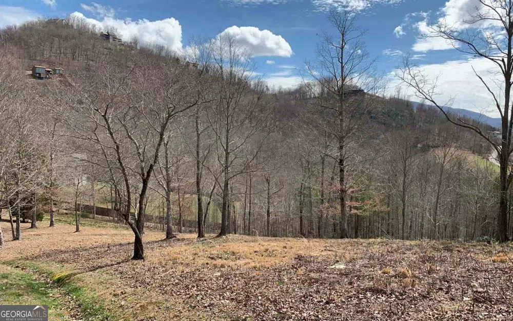 LOT 42 Dan Knob Hayesville, NC 28904