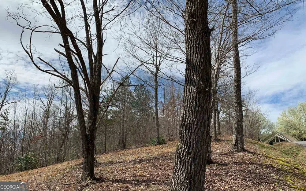 LOT 42 Dan Knob Hayesville, NC 28904