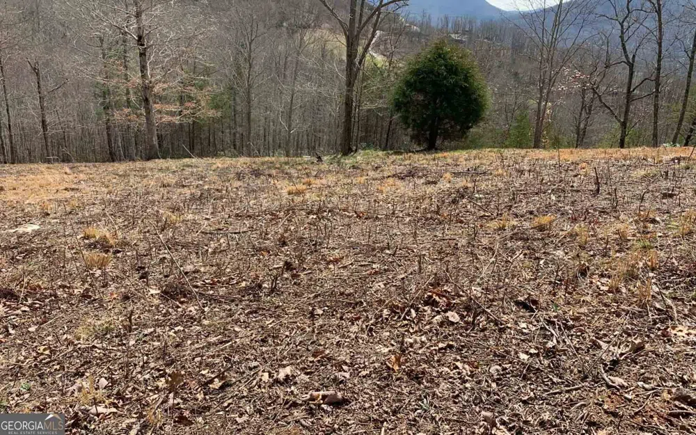 LOT 42 Dan Knob Hayesville, NC 28904