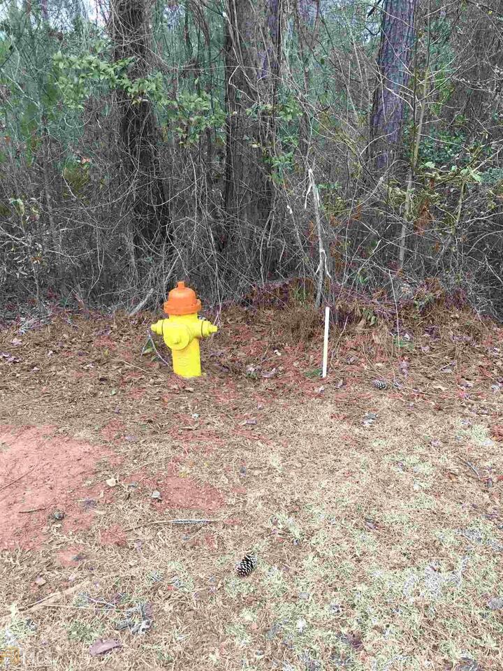 0 19th AVE SW Lanett, AL 36863