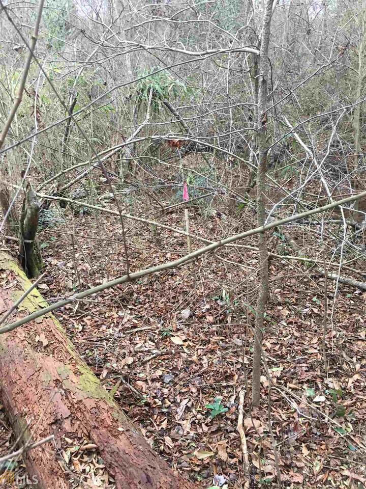 0 19th AVE SW Lanett, AL 36863