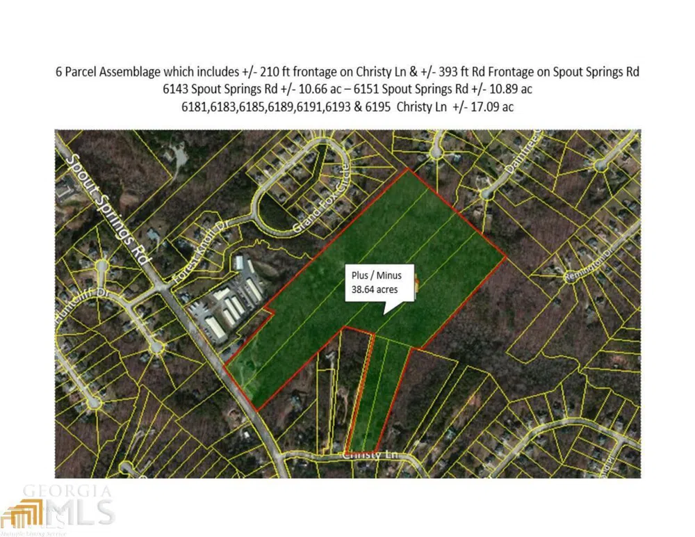 6151 Spout Springs Flowery Branch, GA 30542