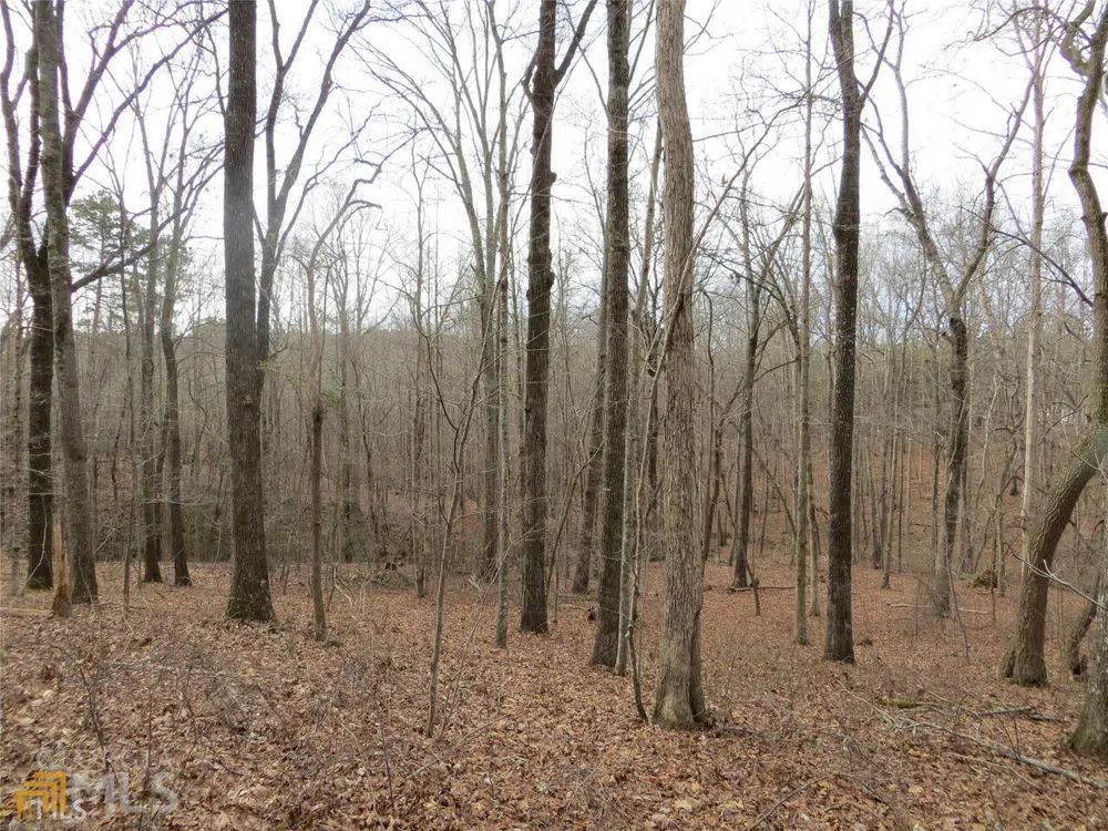 6151 Spout Springs Flowery Branch, GA 30542