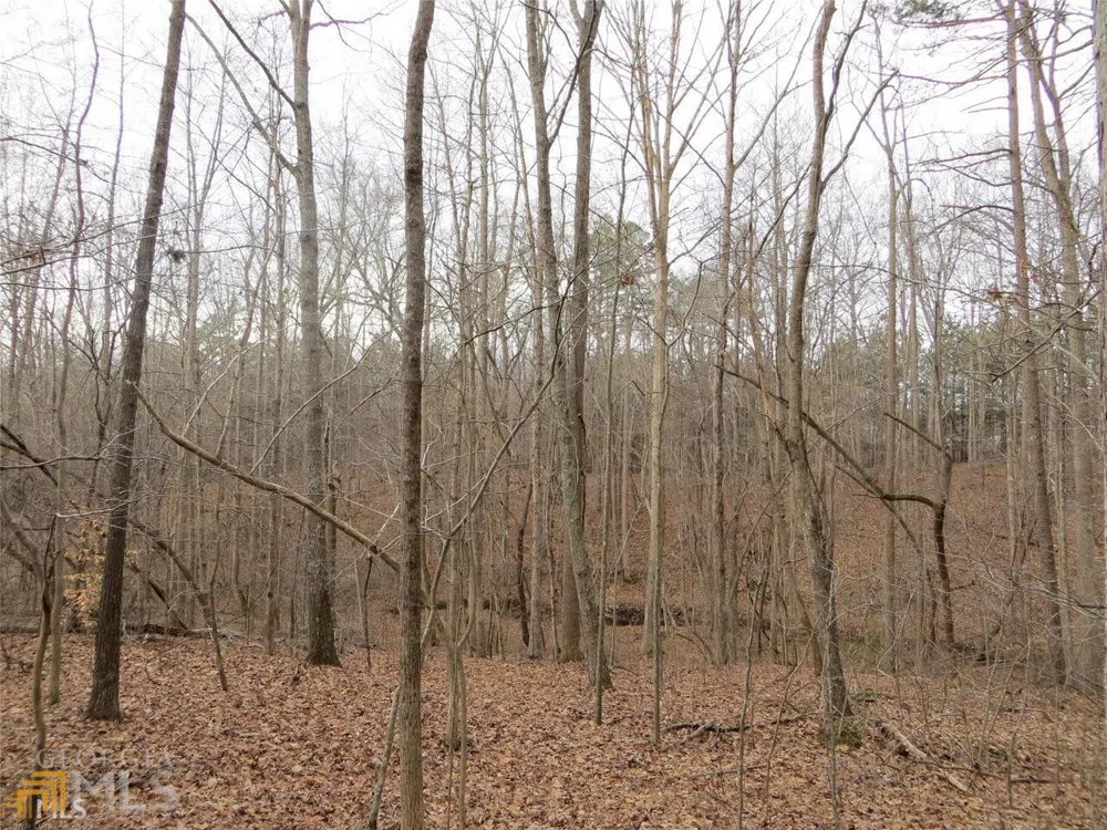 6151 Spout Springs Flowery Branch, GA 30542