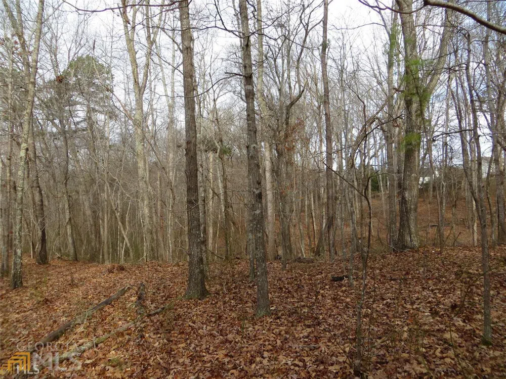 6151 Spout Springs Flowery Branch, GA 30542