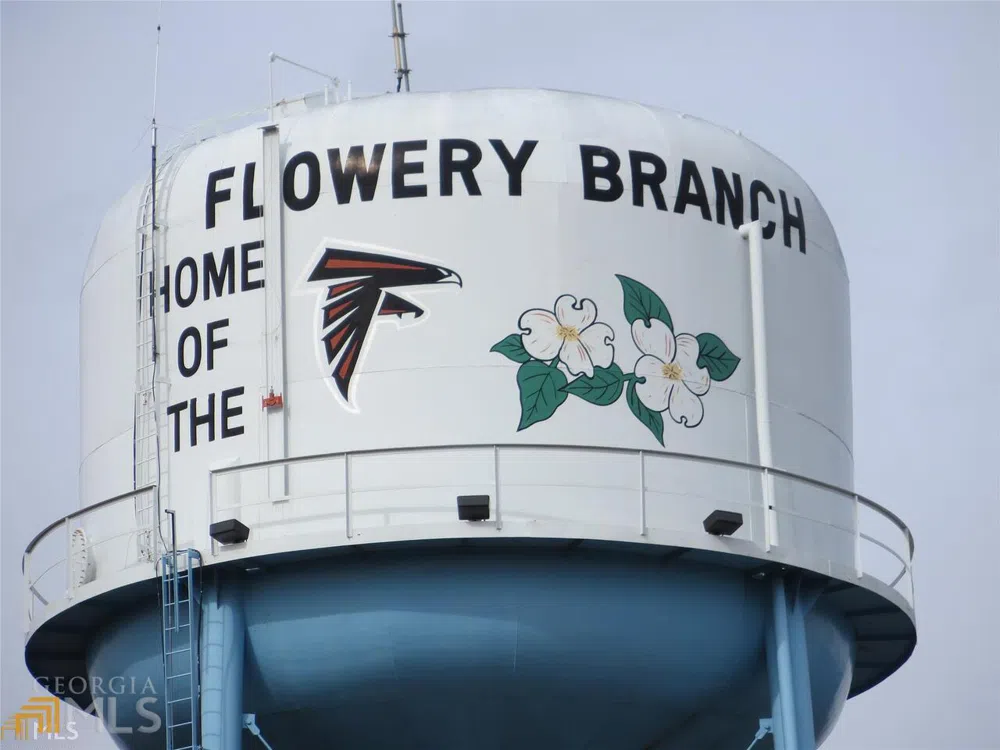6151 Spout Springs Flowery Branch, GA 30542