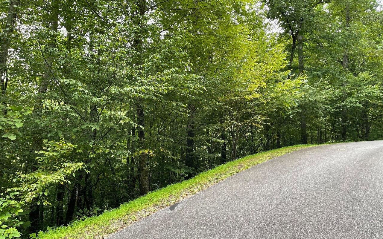 LOT 7 Bear TRL Hiawassee, GA 30546