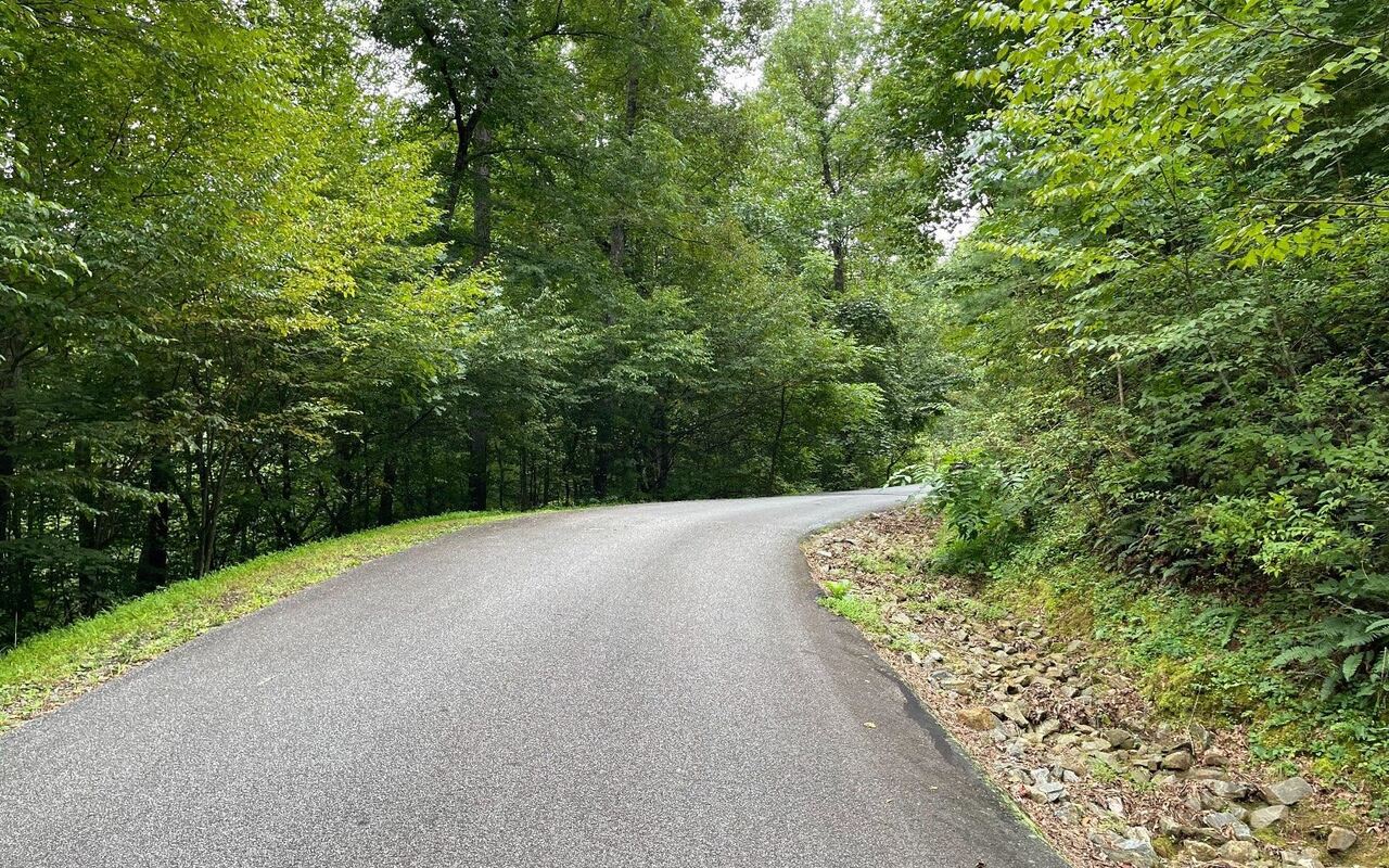 LOT 7 Bear TRL Hiawassee, GA 30546