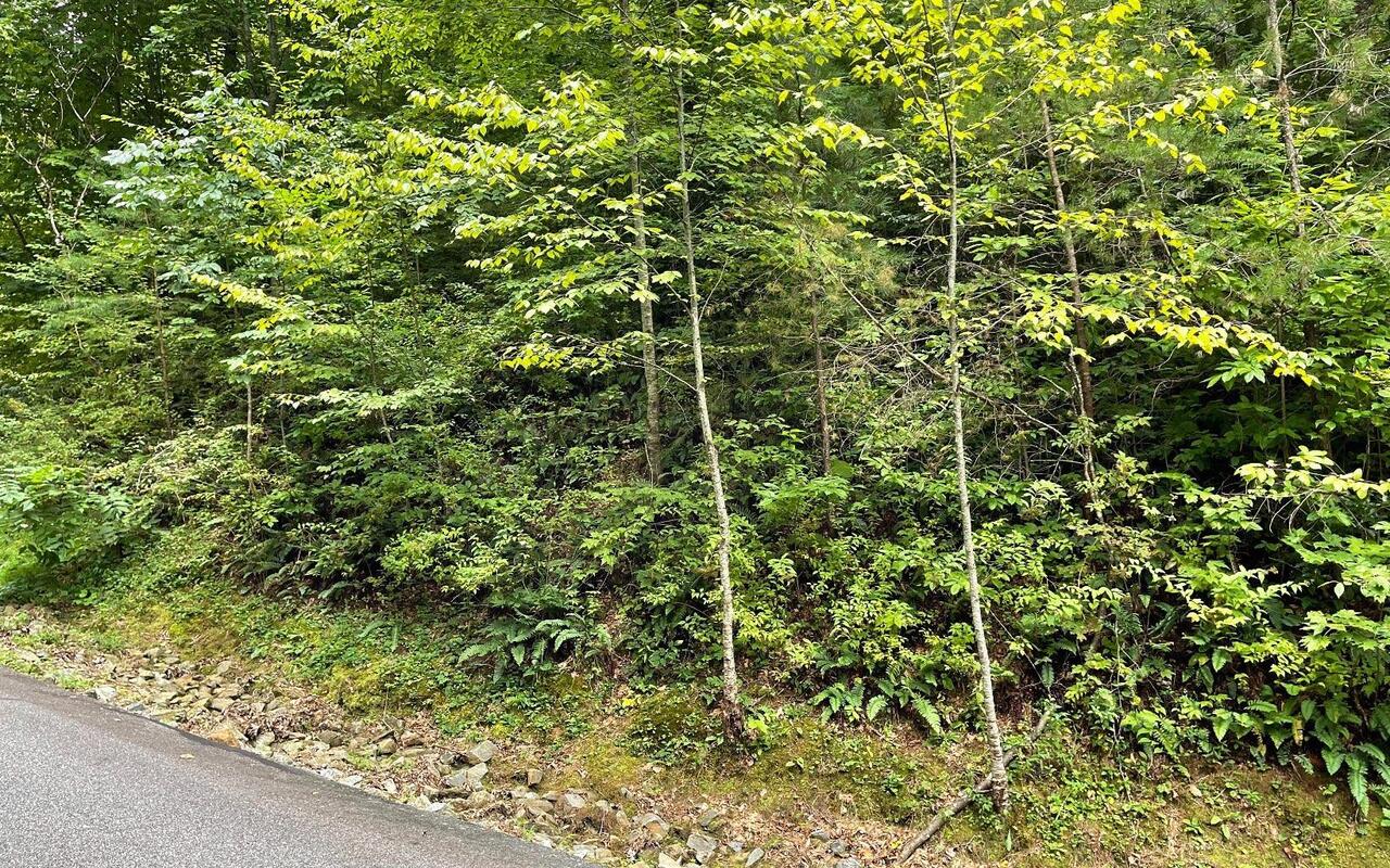 LOT 7 Bear TRL Hiawassee, GA 30546