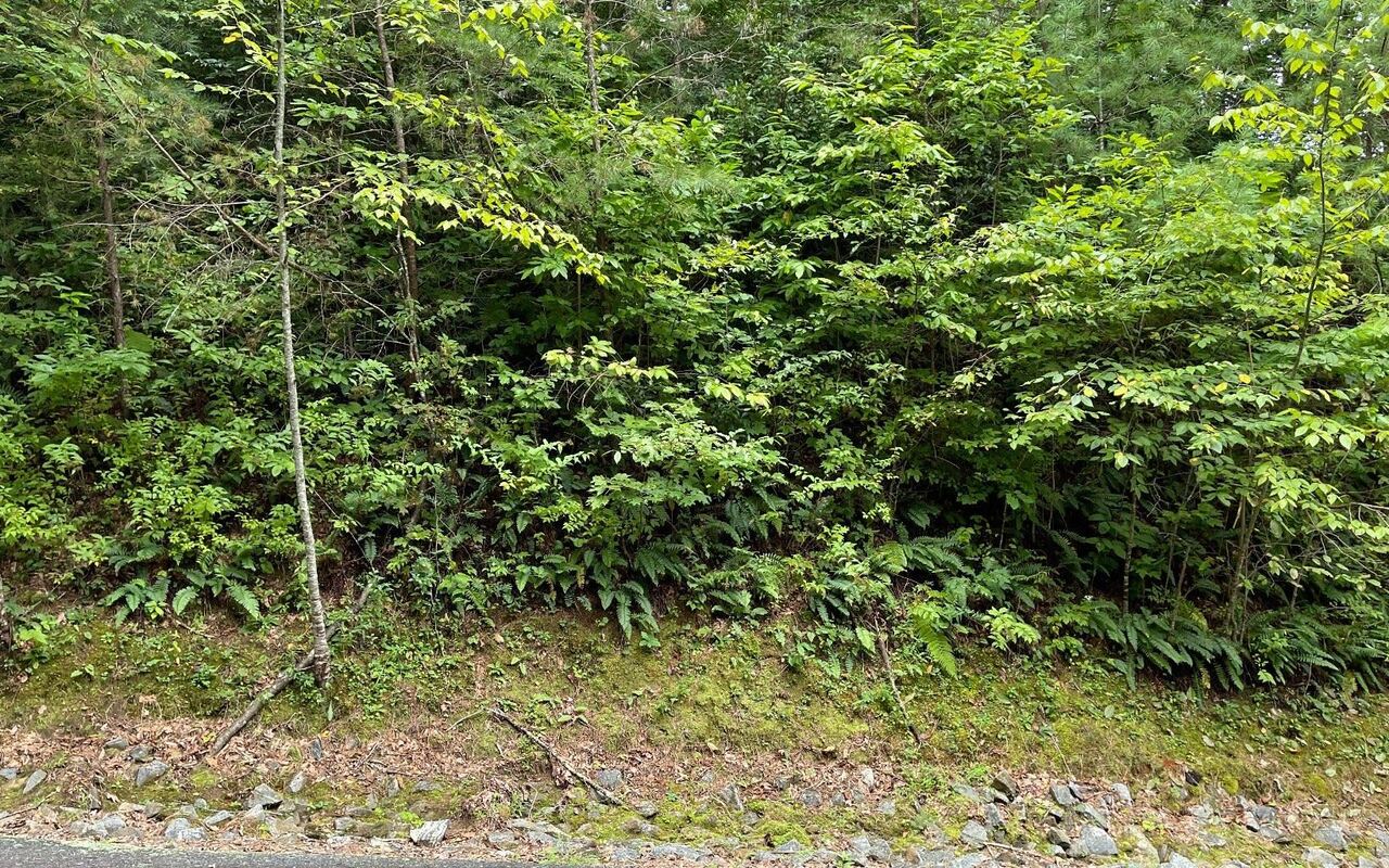 LOT 7 Bear TRL Hiawassee, GA 30546