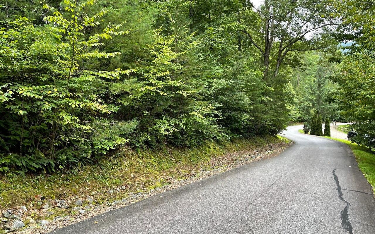 LOT 7 Bear TRL Hiawassee, GA 30546