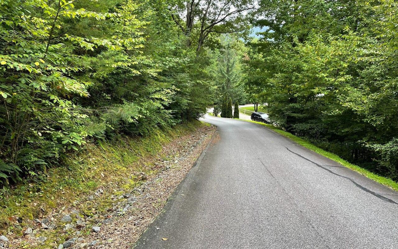 LOT 7 Bear TRL Hiawassee, GA 30546