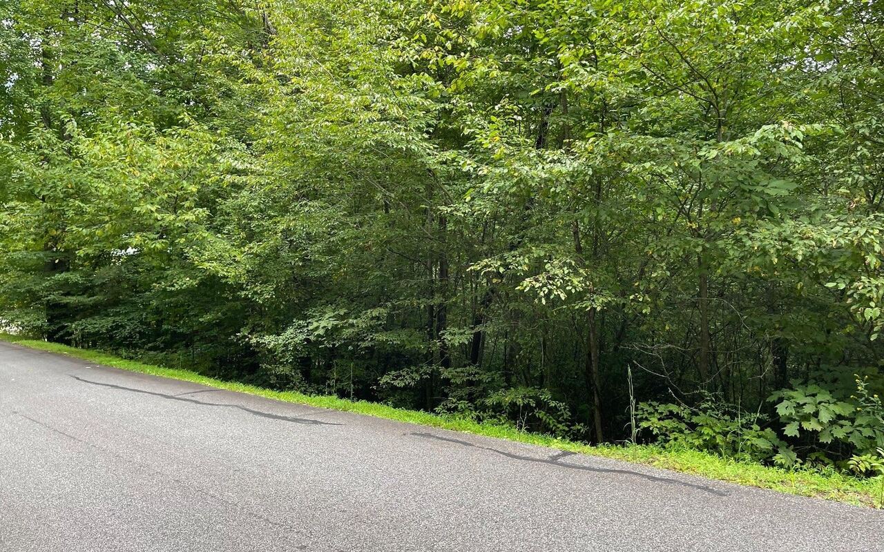 LOT 7 Bear TRL Hiawassee, GA 30546