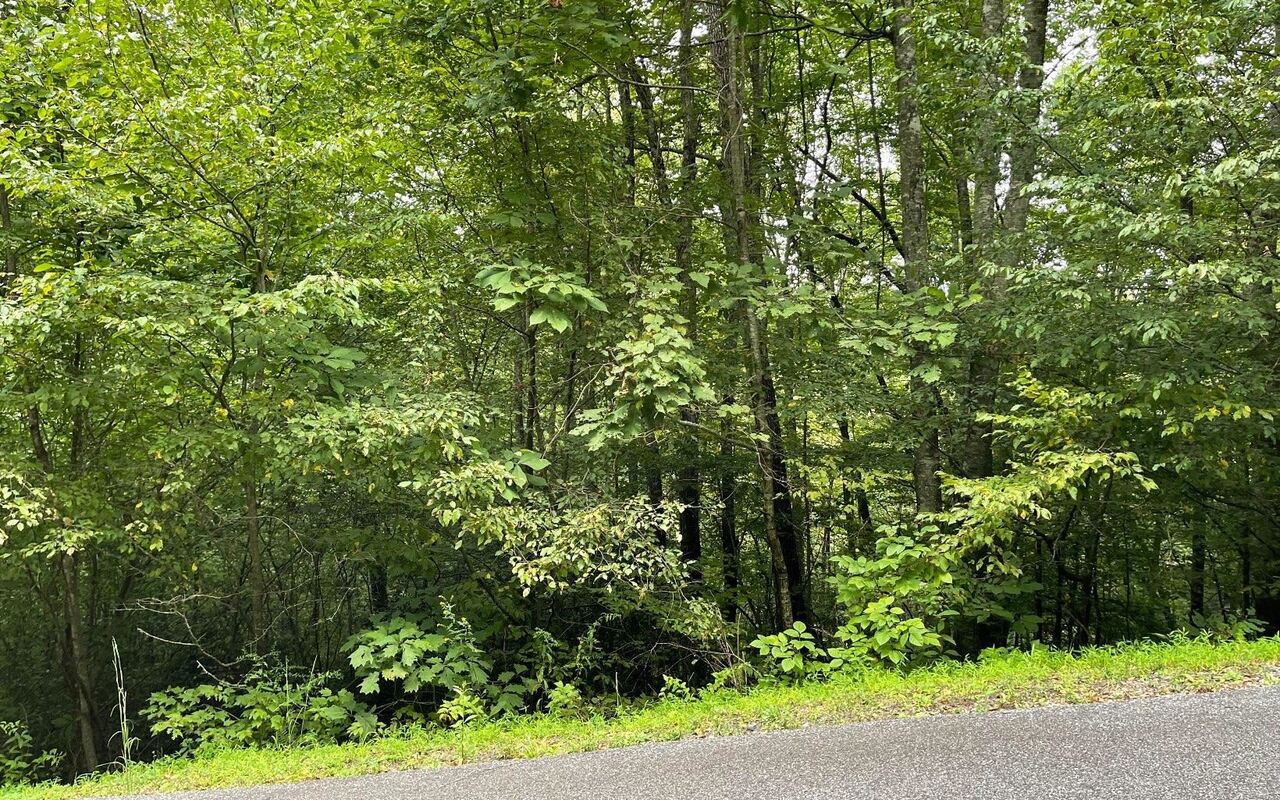 LOT 7 Bear TRL Hiawassee, GA 30546