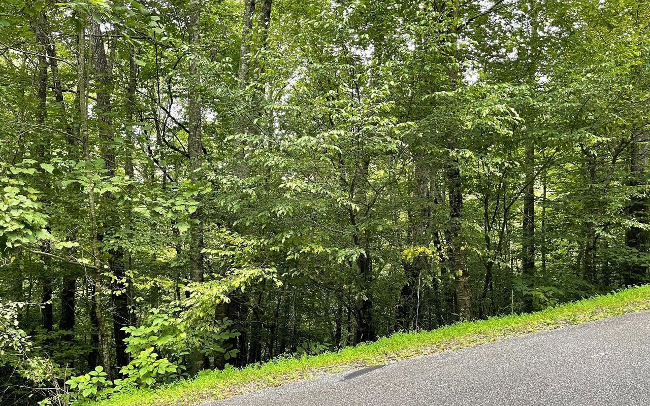 LOT 7 Bear TRL Hiawassee, GA 30546