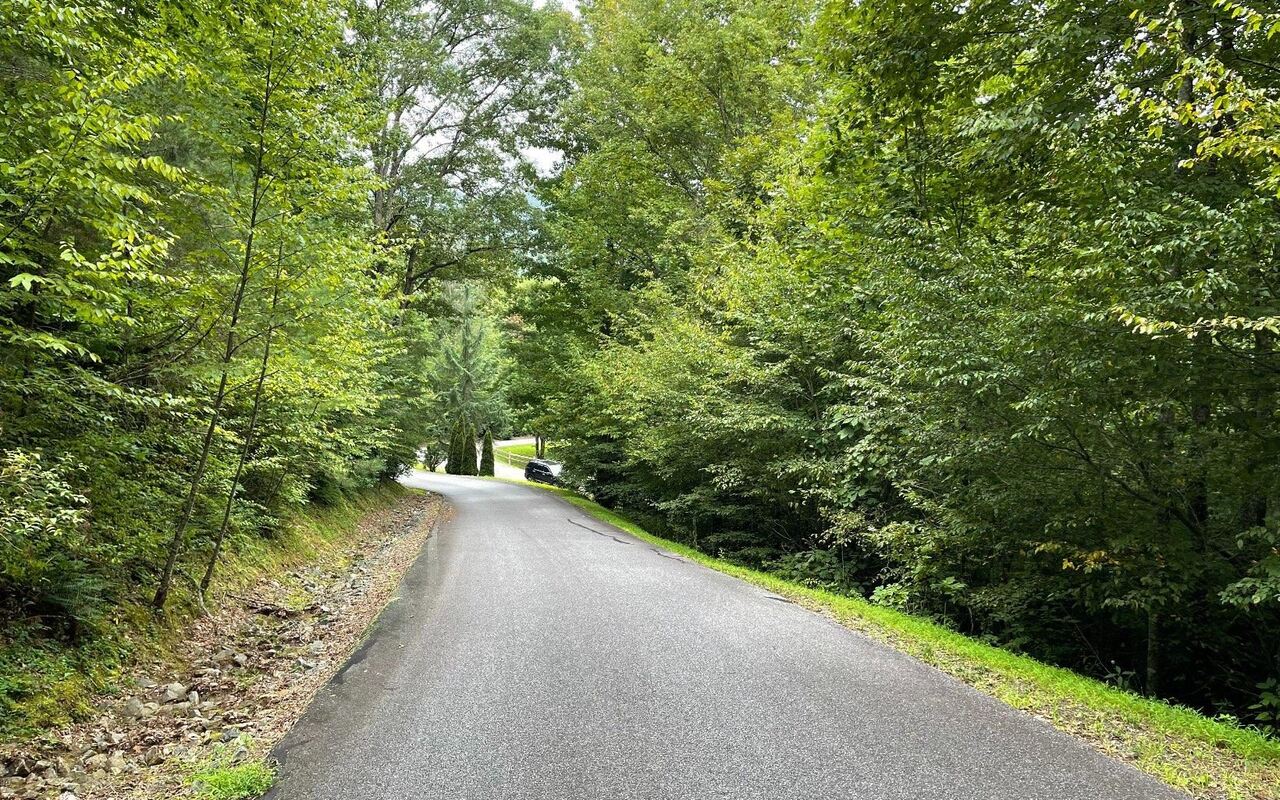 LOT 7 Bear TRL Hiawassee, GA 30546