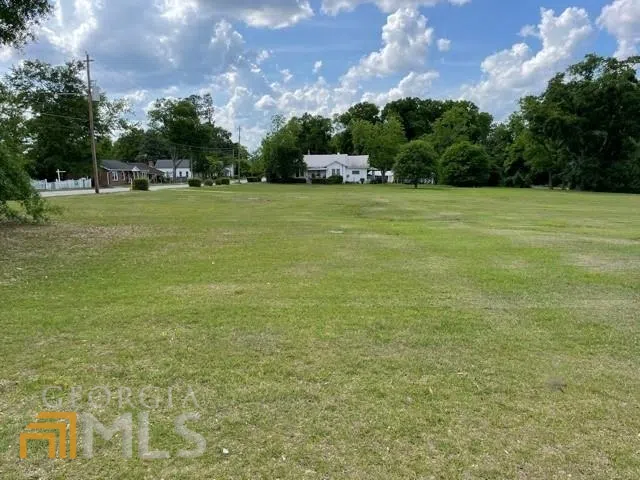 221 N Main STS Sylvania, GA 30467