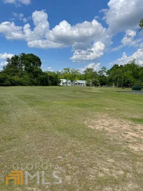 221 N Main STS Sylvania, GA 30467