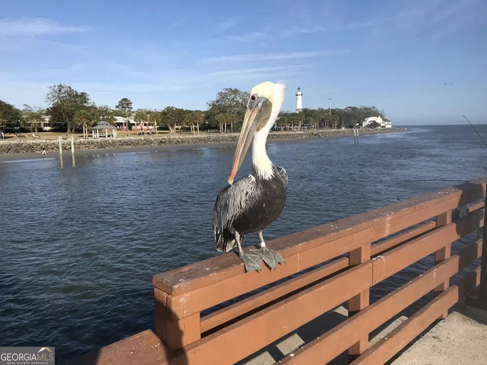 205 Mariners CIR St. Simons, GA 31522