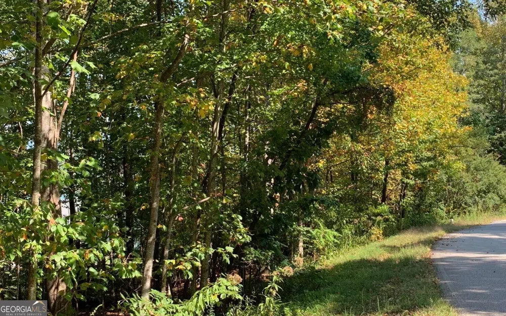 LOT 26 Lake Forest ESTS Hiawassee, GA 30546