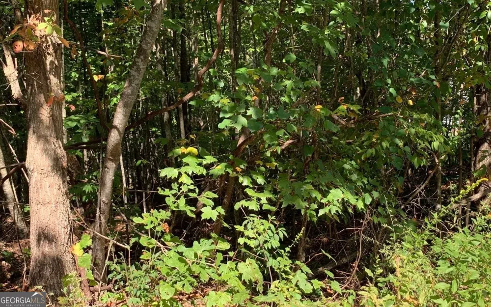 LOT 26 Lake Forest ESTS Hiawassee, GA 30546