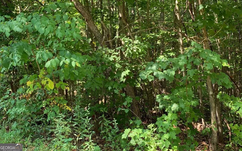 LOT 26 Lake Forest ESTS Hiawassee, GA 30546