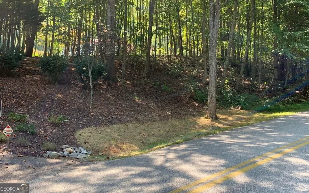 LOT 26 Lake Forest ESTS Hiawassee, GA 30546