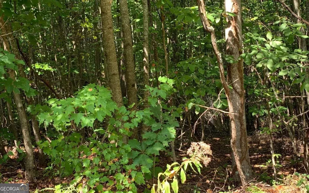 LOT 26 Lake Forest ESTS Hiawassee, GA 30546