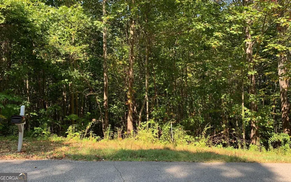 LOT 26 Lake Forest ESTS Hiawassee, GA 30546