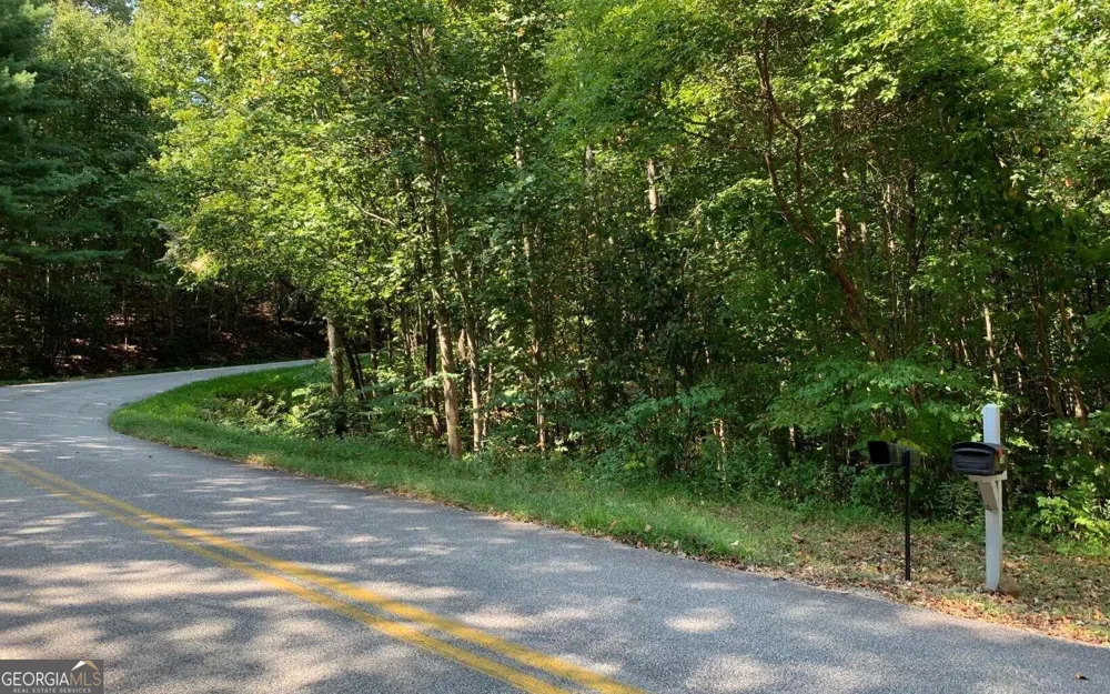 LOT 26 Lake Forest ESTS Hiawassee, GA 30546