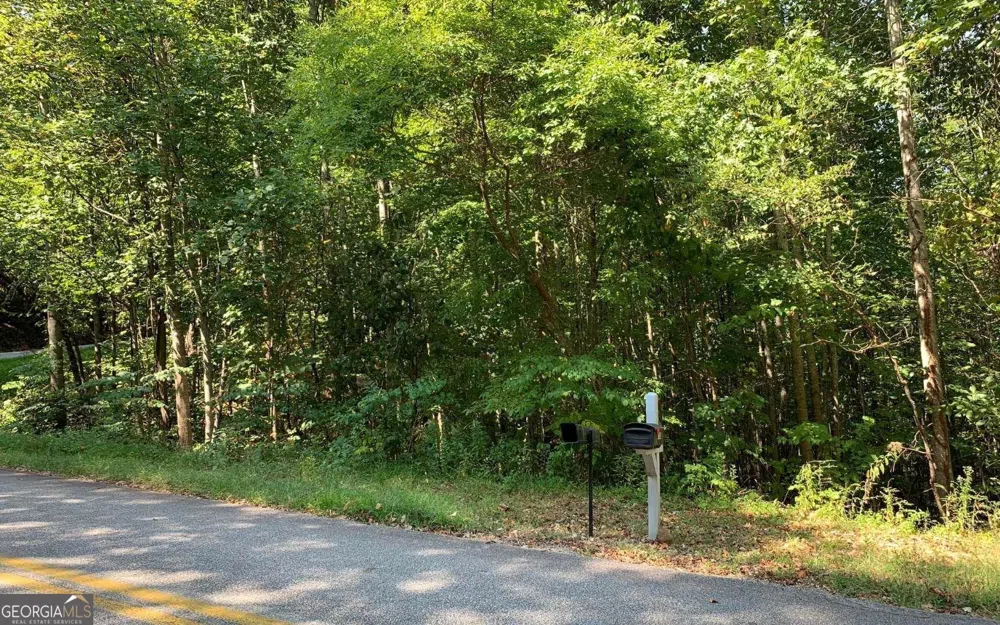 LOT 26 Lake Forest ESTS Hiawassee, GA 30546