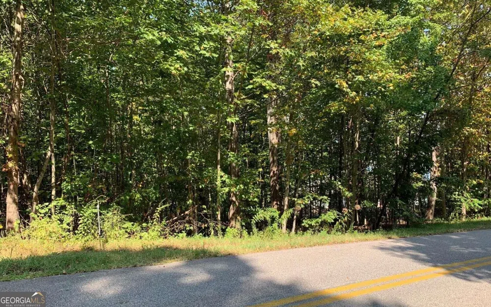 LOT 26 Lake Forest ESTS Hiawassee, GA 30546