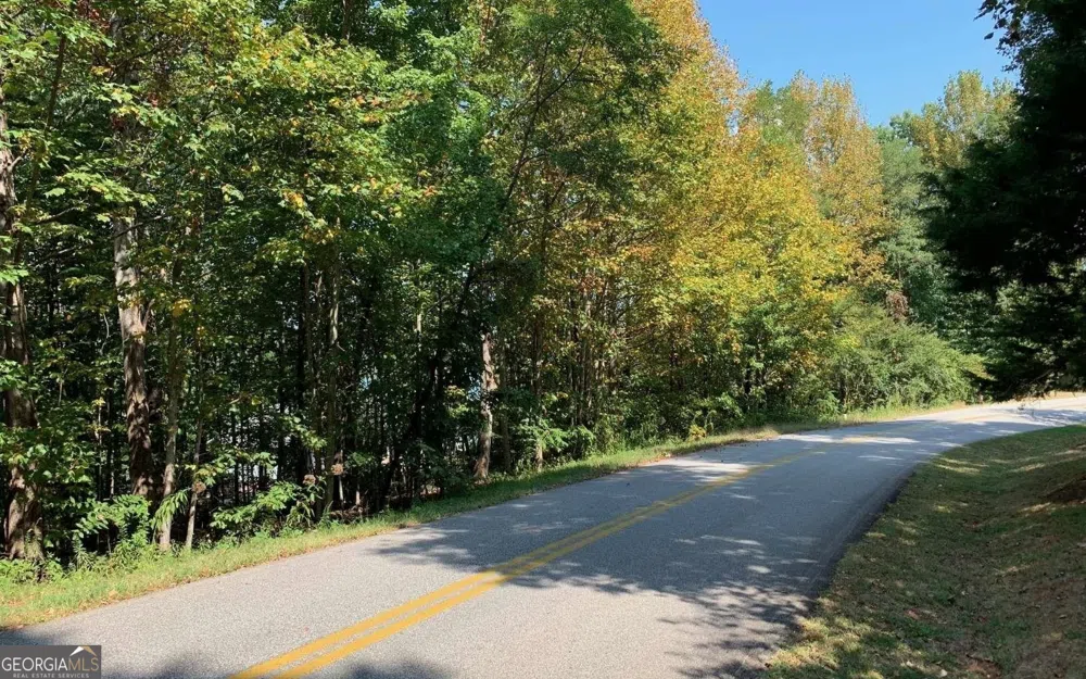 LOT 26 Lake Forest ESTS Hiawassee, GA 30546