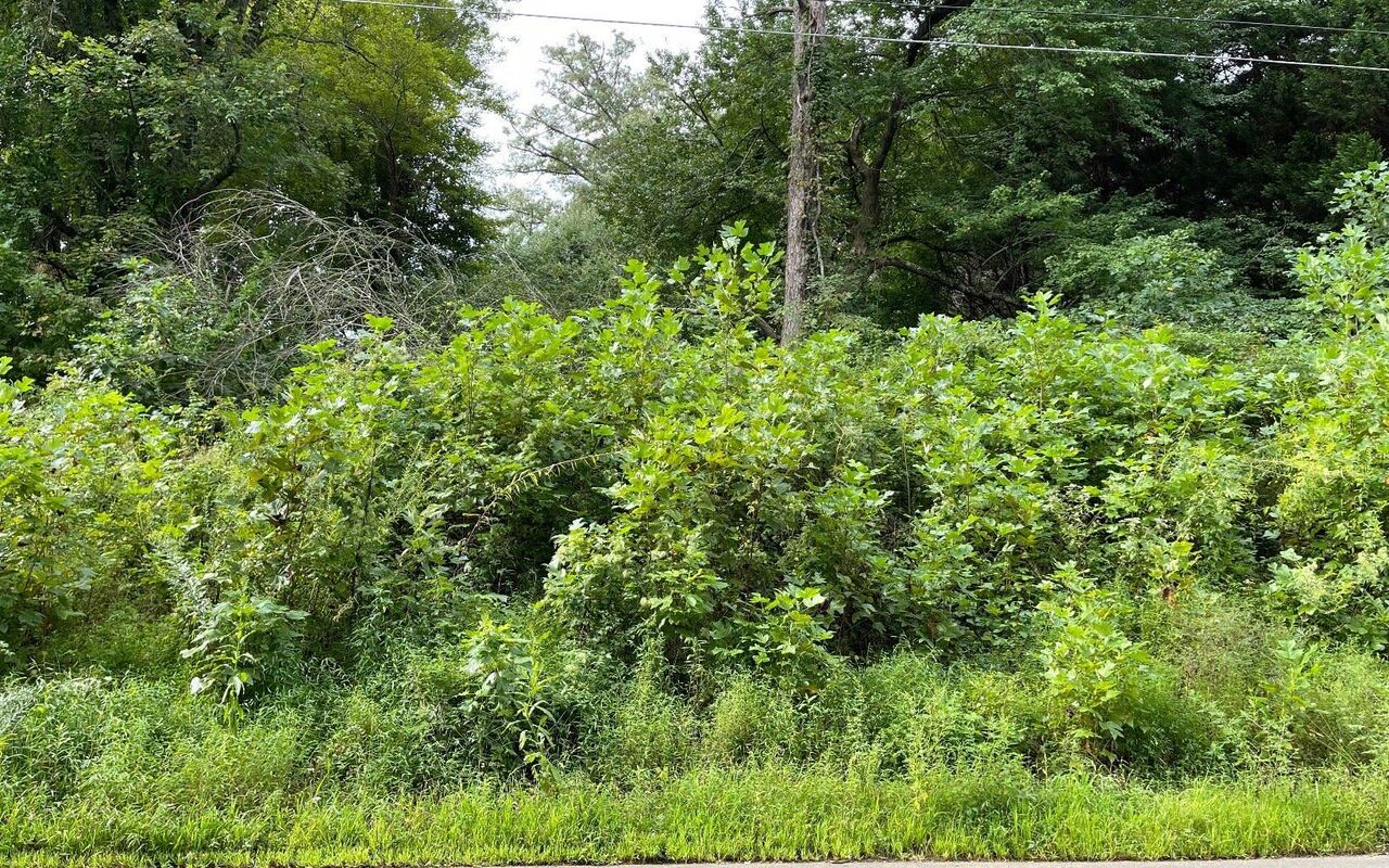 LOT 27 Sneaking Creek DR Hayesville, NC 28904