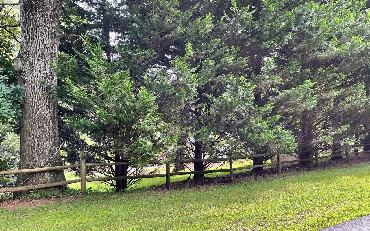 LOT 27 Sneaking Creek DR Hayesville, NC 28904