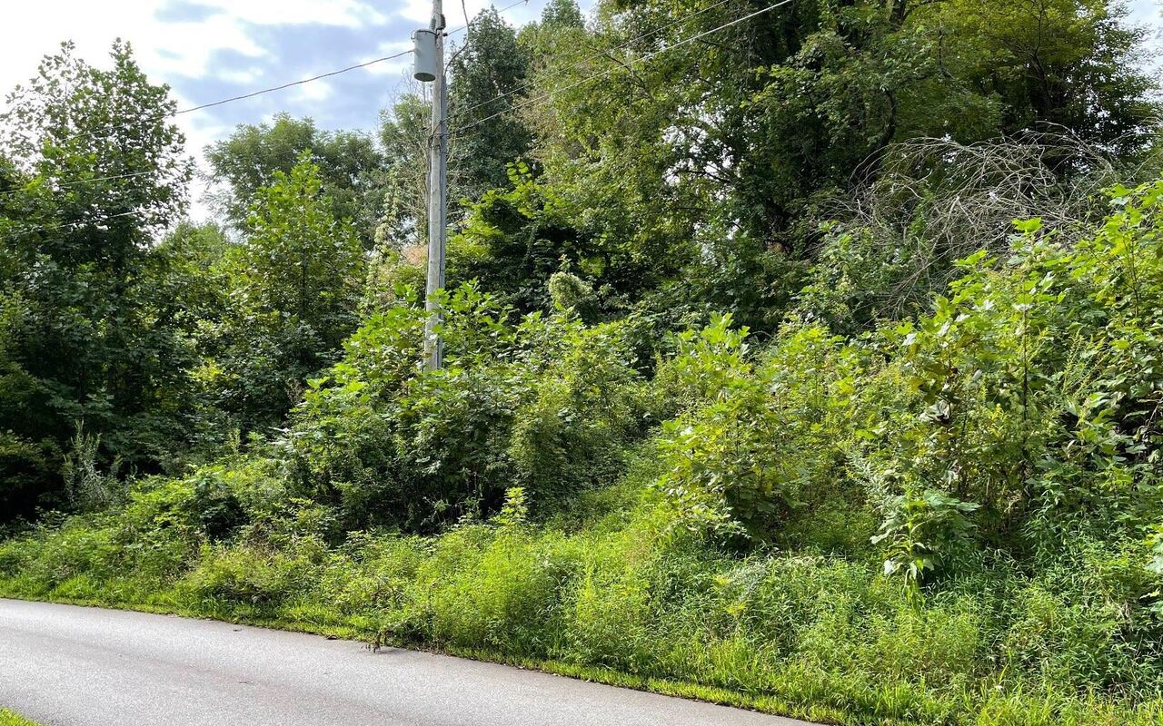 LOT 27 Sneaking Creek DR Hayesville, NC 28904