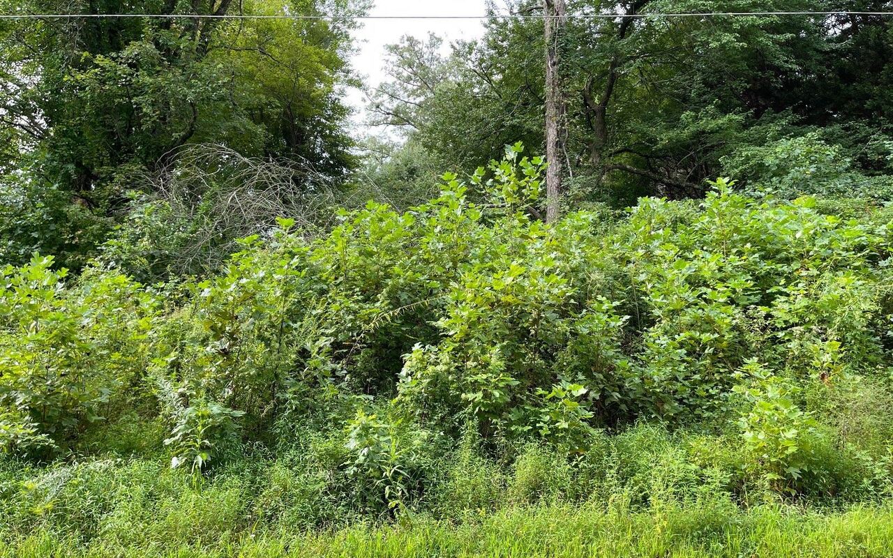 LOT 27 Sneaking Creek DR Hayesville, NC 28904