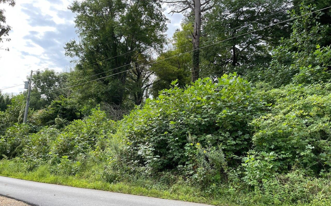 LOT 27 Sneaking Creek DR Hayesville, NC 28904