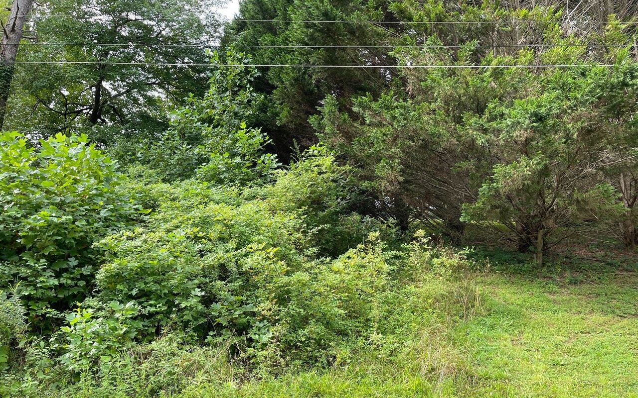 LOT 27 Sneaking Creek DR Hayesville, NC 28904