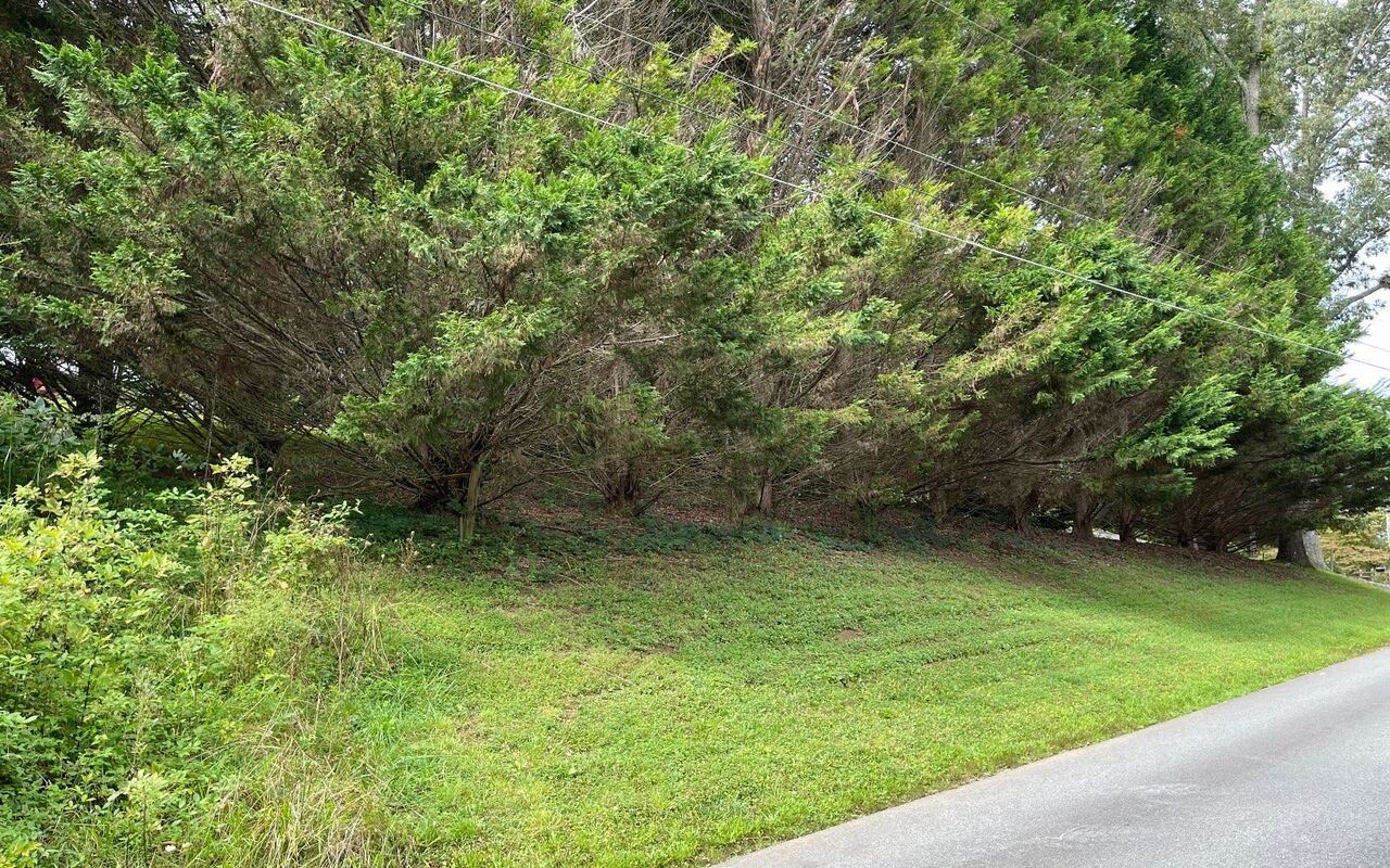 LOT 27 Sneaking Creek DR Hayesville, NC 28904