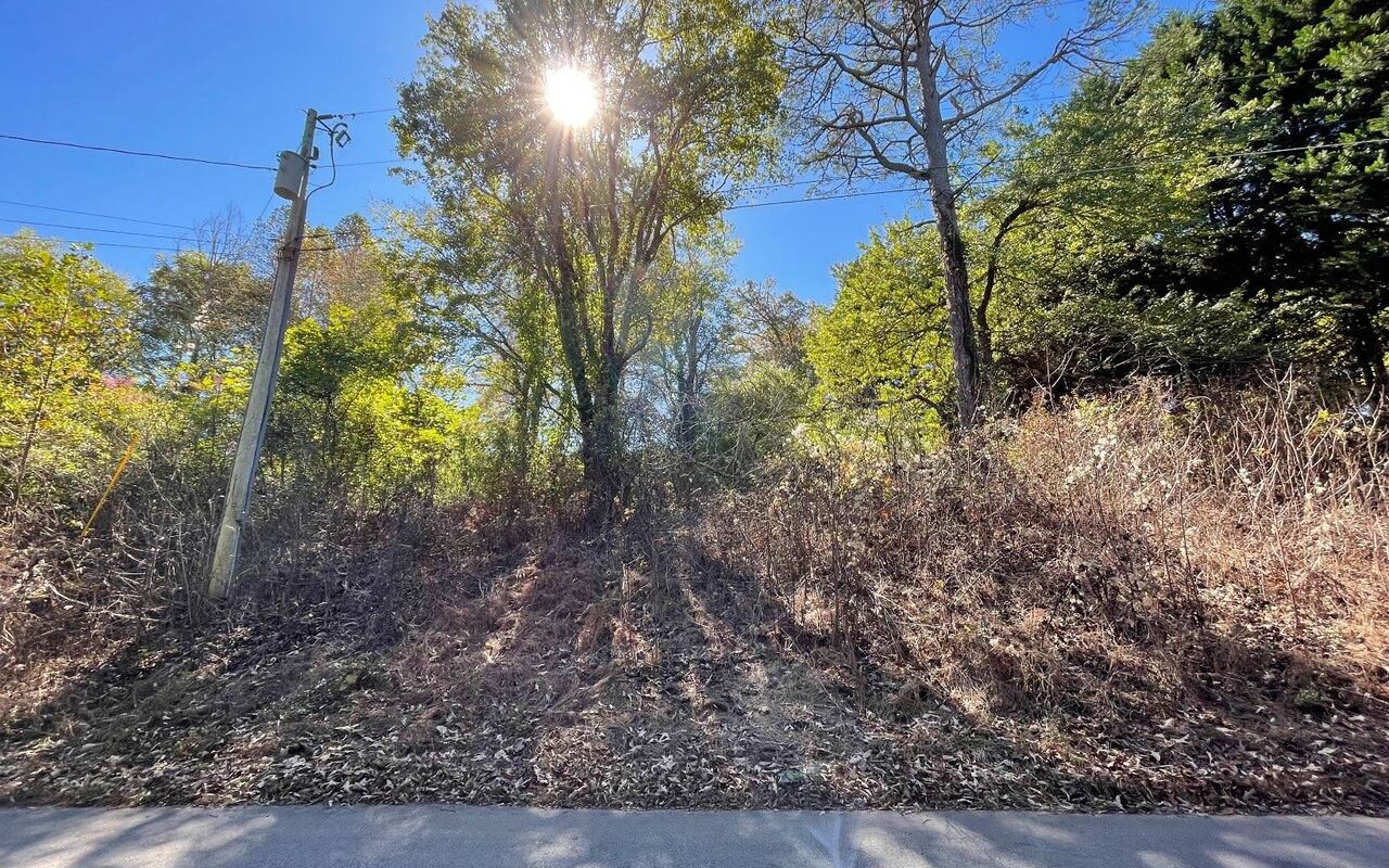 LOT 27 Sneaking Creek DR Hayesville, NC 28904
