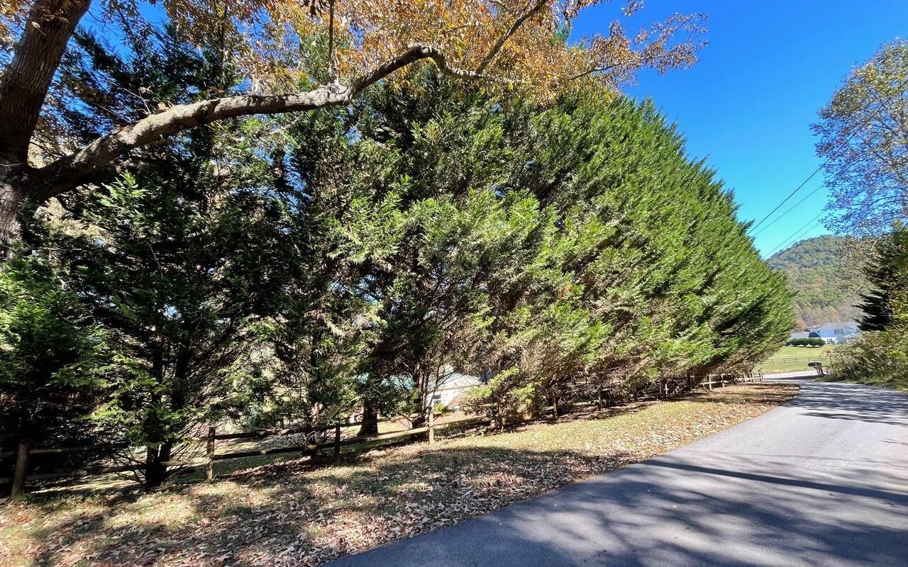LOT 27 Sneaking Creek DR Hayesville, NC 28904