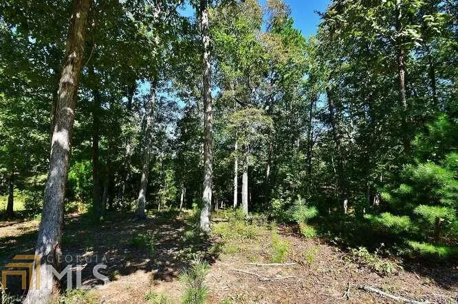 4562B Fawn PATH Gainesville, GA 30506