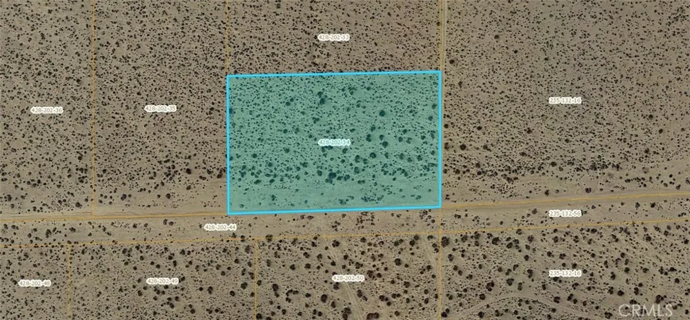 Silver Queen Mojave, CA 93501