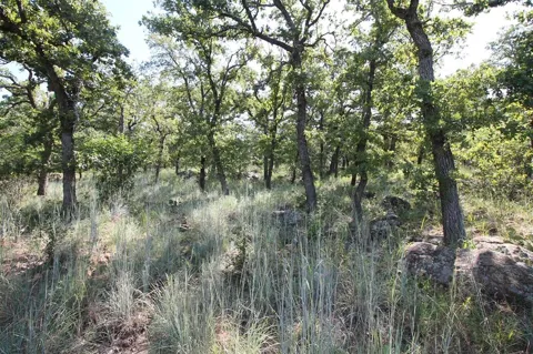 Ridgeline Drive