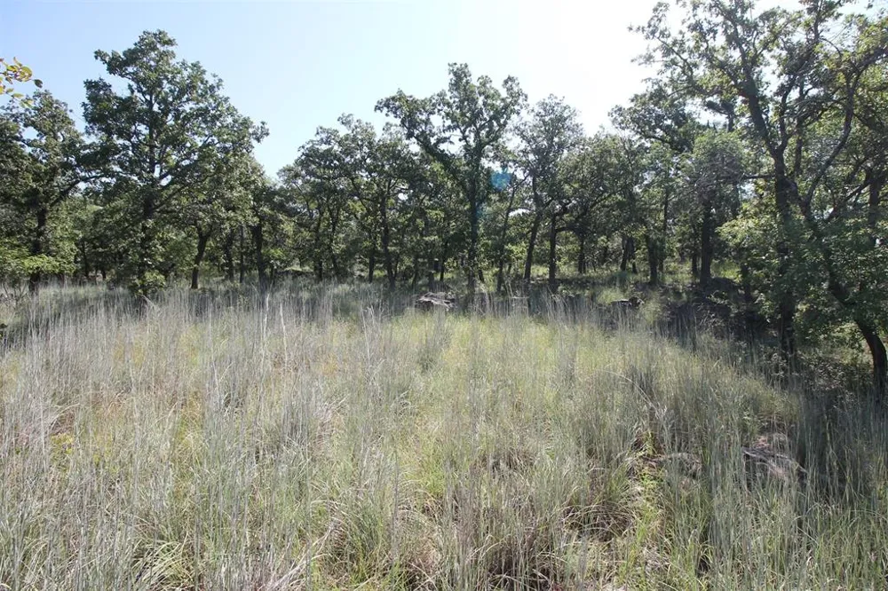 Ridgeline Drive Chico, TX 76431