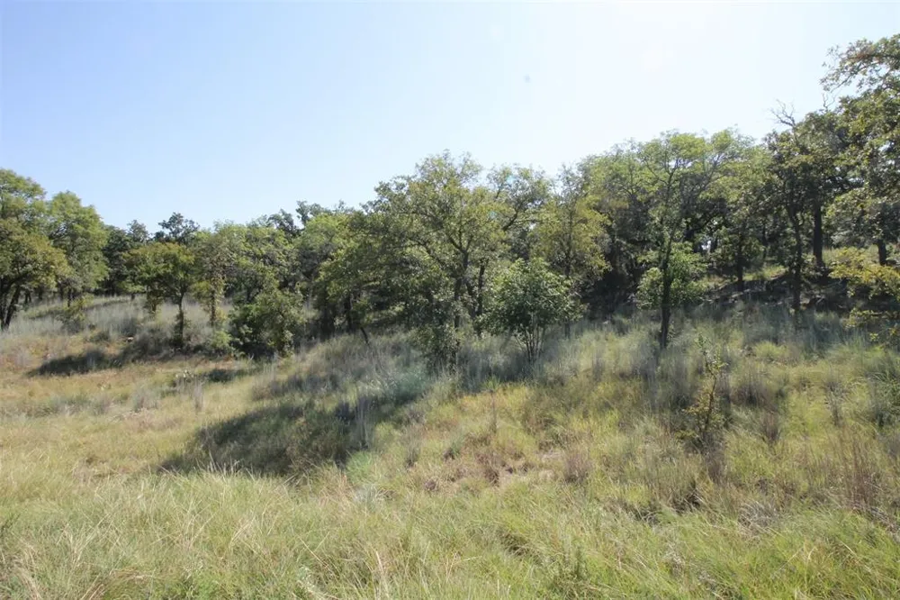Ridgeline Drive Chico, TX 76431