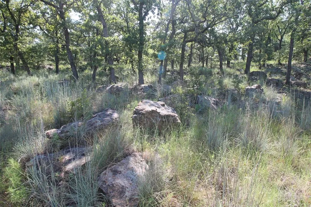 Ridgeline Drive Chico, TX 76431